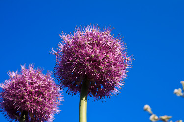 Similar image 2876391