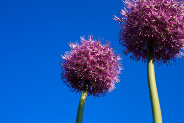 Similar image 2876392