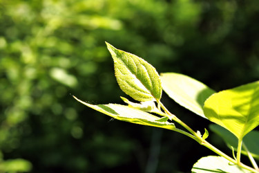 Similar image 2876393