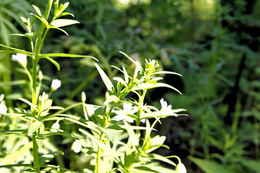 Similar image 2876395