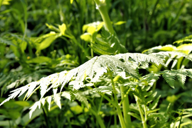 Similar image 2876397