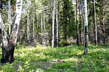 Similar image 2876398