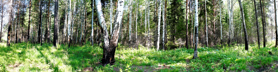 Similar image 2876399