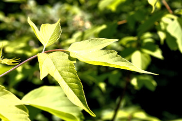 Similar image 2876400