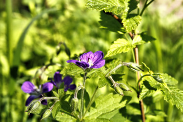 Similar image 2876402