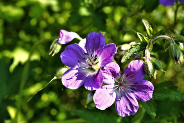 Similar image 2876403