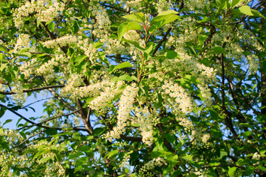 Similar image 2876405