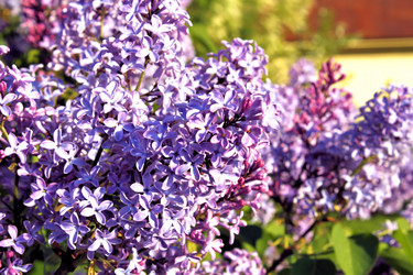 Similar image 2876406