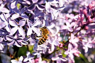 Similar image 2876408