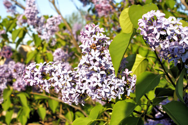 Similar image 2876409