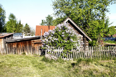 Similar image 2876412