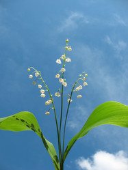 Similar image 2876415