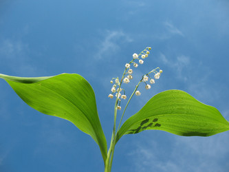 Similar image 2876417