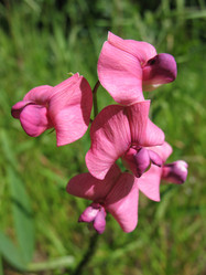 Similar image 2876419