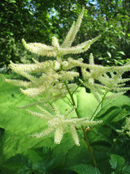 Similar image 2876421