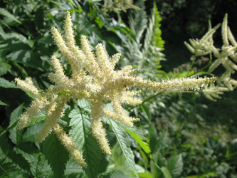 Similar image 2876422