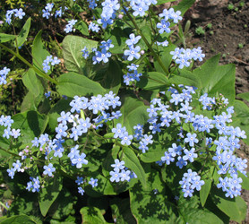 Similar image 2876427