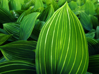 Similar image 2876439