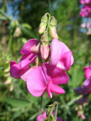 Similar image 2876441