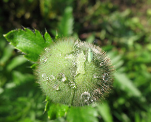 Similar image 2876445