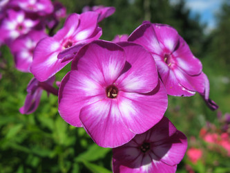 Similar image 2876447