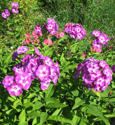 Similar image 2876448