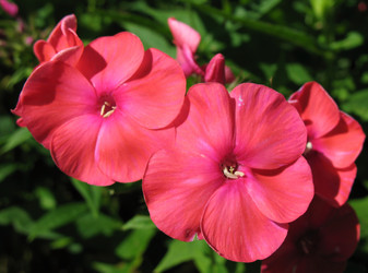 Similar image 2876449