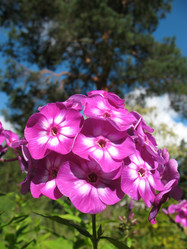 Similar image 2876450