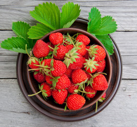 Similar image 2876453