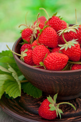 Similar image 2876455