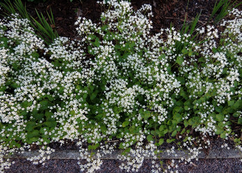 Similar image 2876468