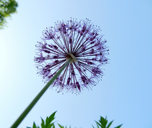 Similar image 2876469