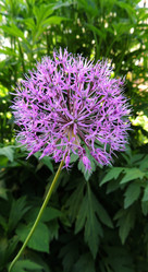 Similar image 2876470