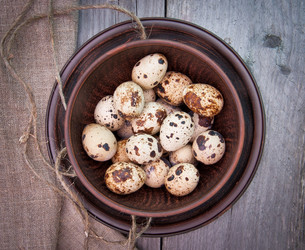 Similar image 2876473