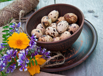 Similar image 2876474