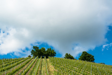 Similar image 2876517