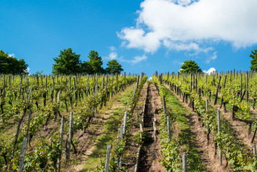 Similar image 2876519