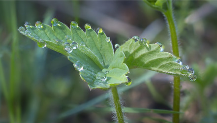 Similar image 2876534