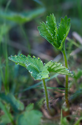 Similar image 2876535