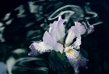 Similar image 2876540