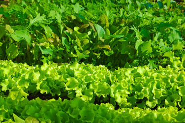 Similar image 2876542