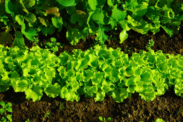 Similar image 2876543