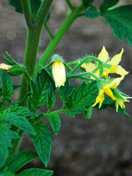 Similar image 2876545