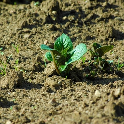 Similar image 2876546