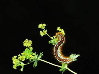 Similar image 2876547