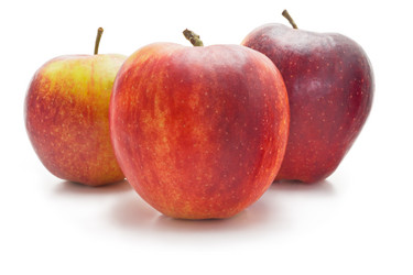 Similar image 2876548