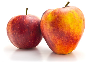 Similar image 2876553