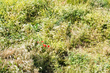 Similar image 2876650