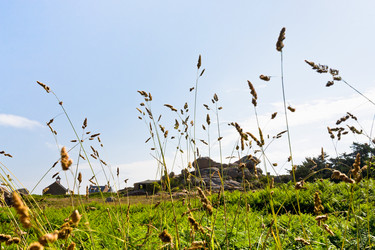 Similar image 2876661