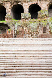 Similar image 2876685